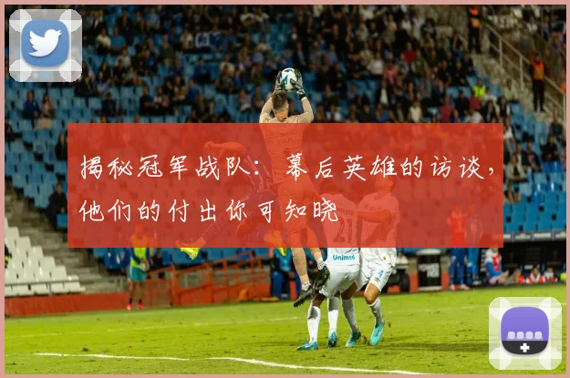 揭秘冠军战队:幕后英雄的访谈,他们的付出你可知晓