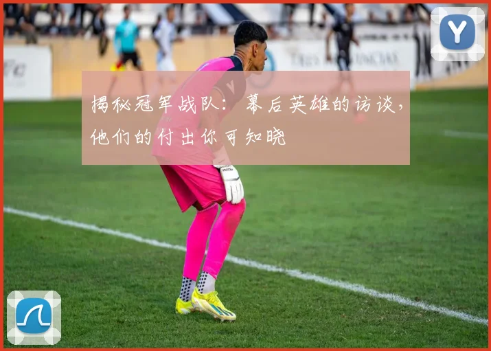 揭秘冠军战队:幕后英雄的访谈,他们的付出你可知晓